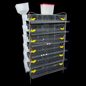 Jaula para Codornices de Alta Calidad Tipo H con Alimentación Automática, <span class=keywords><strong>Jaulas</strong></span> para Codornices para Producción de Huevos, Jaula para Aves de Reproducción - Product Image 1
