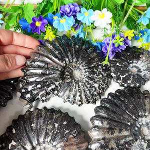 Piedra de cristal curativa de Caracol fósil de amonita negra, artesanía mineral creativa de buena calidad Natural al por mayor para Decoración - Product Image 5