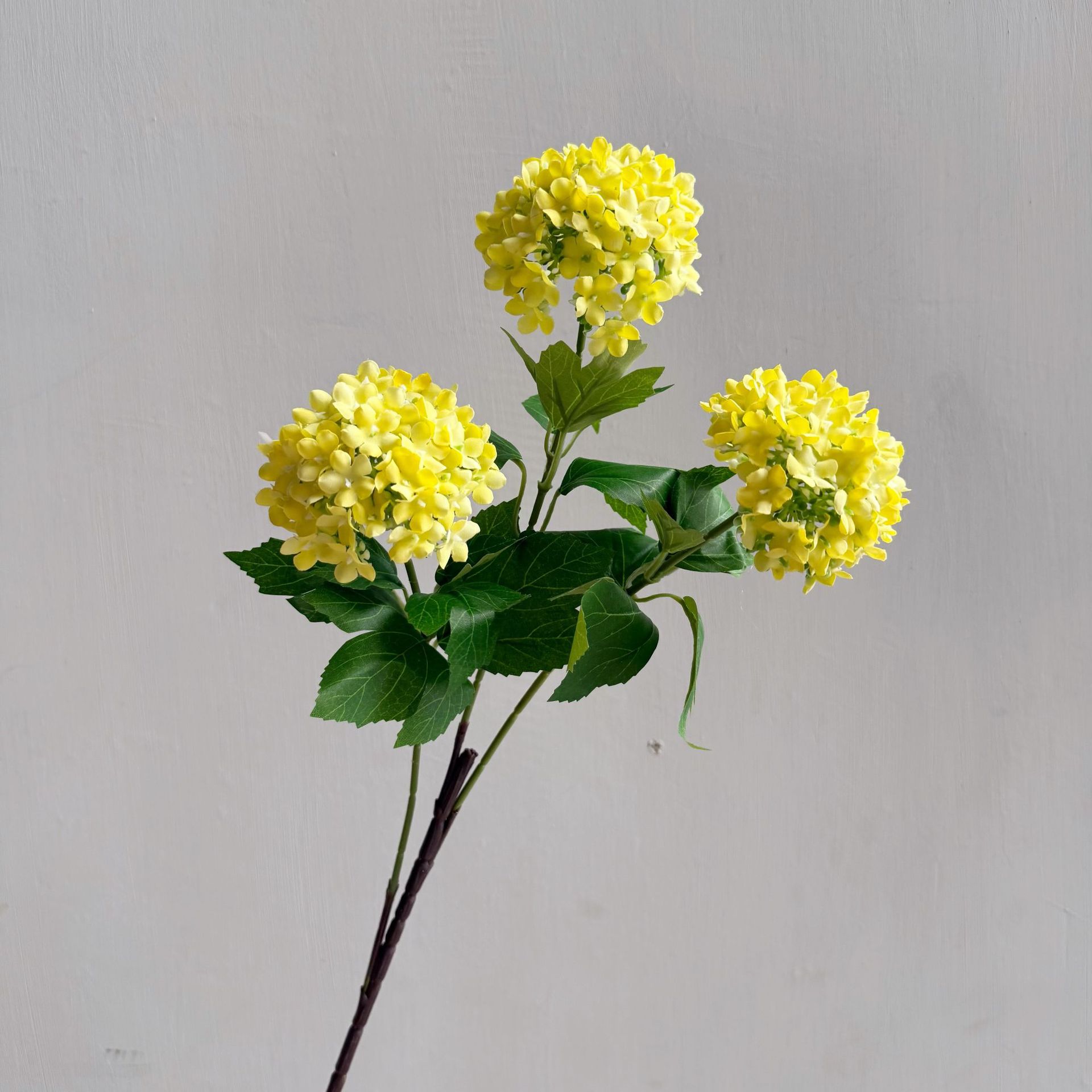 Amarillo