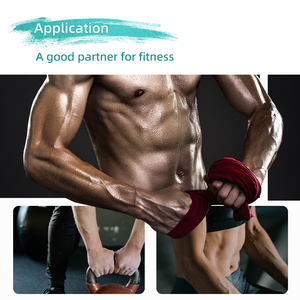 Заводская поставка, хорошая цена, Panax Quinque Folium L. Американский экстракт корня женьшеня Cas 50647-08-0 - Product Image 3