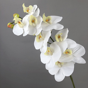 A buon mercato stampa 3D 9 teste <span class=keywords><strong>orchidee</strong></span> ragno viola verde nero arancio bianco avorio all'ingrosso fiori artificiali orchidea nel <span class=keywords><strong>vaso</strong></span> da tavolo - Product Image 6