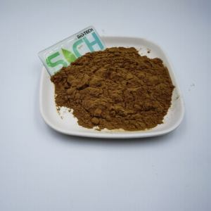 Ekstrak Coleus Forskohlii Murni Alami Bubuk Ekstrak Coleus Forskohlii <span class=keywords><strong>Forskolin</strong></span> 10% <span class=keywords><strong>20%</strong></span> 98% - Product Image 4