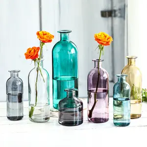 Glass vase Nordic style color necked vase creative transparent hydroponic vase home decoration