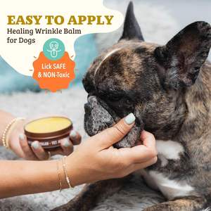 Commercio all'ingrosso balsamo antirughe cane crema antirughe sollievo secco prurito alla pelle pulita rughe infezione da lievito <span class=keywords><strong>per</strong></span> <span class=keywords><strong>cani</strong></span> - Product Image 5