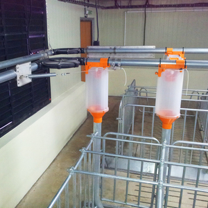 Sistema de alimentación automática para cerdos, nuevo equipo automático de plástico para cerdos, alimentador innovador de granja de cerdos de Debba Brothers - Product Image 4