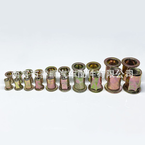 Écrous à rivets Shuangxuan M456810 en acier galvanisé, fixation automobile à tête fraisée plate - Product Image 5