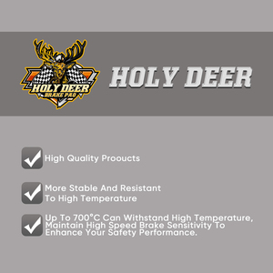 Applicable aux plaquettes de frein du véhicule électrique Golden <span class=keywords><strong>Arrow</strong></span> <span class=keywords><strong>Iron</strong></span> <span class=keywords><strong>Man</strong></span> TG100, Mad Dash TG106 et Warrior RG110 - Product Image 2