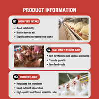 Prémélange Alimentaire pour Poulets 3% – Complément Alimentaire pour Poulets de Chair (Démarrage, Croissance et Fini)