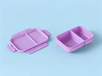 Boîte à lunch rectangulaire en plastique de 800 ml sans BPA, isolée, avec 2 compartiments étanches, qualité alimentaire, facile à transporter