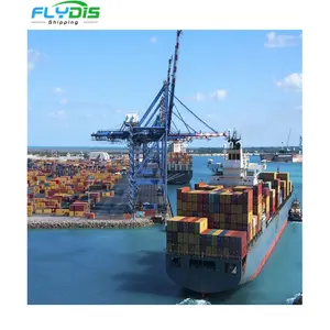 The cheapest sea shipping door-to-door service DDP from China to Germany