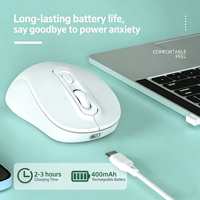 Souris Bluetooth 2.4G Portable Silencieuse et Ergonomique pour Ordinateur Portable et Tablette