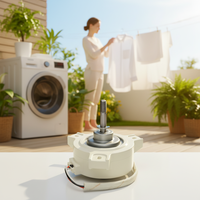 Motor BLDC Ecológico de 55W de Alta Eficiencia y Bajo Ruido para Electrodomésticos Inteligentes y Lavadoras