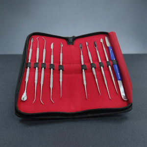 Juego de Herramientas Quirúrgicas Dentales Zarnab, Instrumentos de Acero Inoxidable, Estuche Rojo, 10 Piezas, para Limpieza y Relleno Dental - Product Image 3