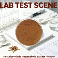 Extrait de Pseudostellaria Heterophylla en poudre Polysaccharides Cyclopeptides Échantillon gratuit personnalisé Ink Tide Biotech