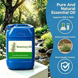 Huile Essentielle de <span class=keywords><strong>Romarin</strong></span> en Gros, Personnalisée, OEM, Sous Marque Privée, pour Soins Capillaires et du Cuir Chevelu, à Base d'Extraits de Plantes Séchées, Fortifiante - Product Image 3