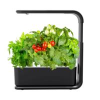 Nouveau design de serre domestique pour plantes, systèmes de culture hydroponique en conteneur à faible MOQ avec éclairage LED