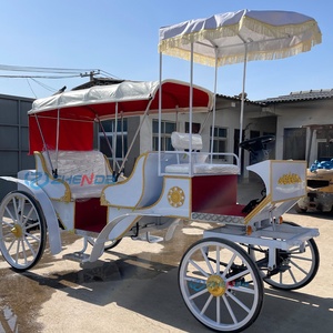 Calèche électrique économique à 2 rangées, blanche, nouveau style, pour transport spécial et tourisme - Product Image 6