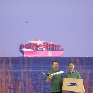 ForestLeopard International Shipping Courier Logistics <strong>Service</strong> Sea Cargo LCL+Express DDP Door Delivery Shenzhen Japan Korea - Product Image 3