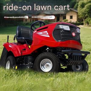 <span class=keywords><strong>Tondeuse</strong></span> autoportée à essence avec bac de ramassage pour l'entretien des pelouses - Product Image 3