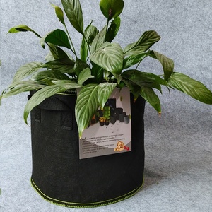 Usine Meilleure Vente Lourde En Gros Sacs de Culture Grand Sac de Culture Jardinière 40 Gallons Potager Pots En <span class=keywords><strong>Tissu</strong></span> - Product Image 3