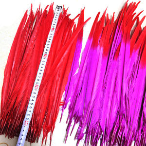 Plumes <span class=keywords><strong>de</strong></span> Faisan à Col Anneau Bicolores <span class=keywords><strong>de</strong></span> 16-18 Pouces pour Costumes <span class=keywords><strong>de</strong></span> <span class=keywords><strong>Carnaval</strong></span> <span class=keywords><strong>de</strong></span> Trinité 2025 – Fournitures <span class=keywords><strong>de</strong></span> Plumes Décoratives - Product Image 5