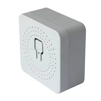 Tuya Smart Lift App 16A Mini Smart Wifi DIY Switch prend en charge le module d'automatisation de contrôle à 2 voies