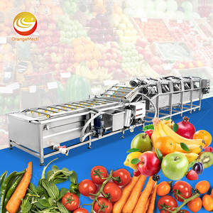 Máquina Comercial ORME para Lavar y Secar Frutas y Verduras, con Sistema de Lavado de Rodajas de Pimienta y Raíz de Jengibre - Product Image 1