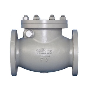 COVNA 6d DN100 6 Pulgadas JIS 10K Válvula de Retención de Giro con Extremo de Brida de Hierro Fundido para Agua - Product Image 1