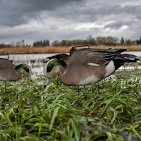 Décoy de canard sauvage réaliste en PP, pliable et portable, style champêtre, pour jardins résidentiels