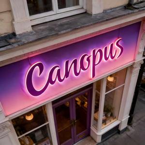 Letrero Publicitario Retroiluminado de Acero Inoxidable, Letrero LED para Exteriores, Letrero con Letras de Canal LED 3D, Letreros Electrónicos - Product Image 2