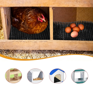 Meilleur <span class=keywords><strong>prix</strong></span> usine : Tapis de nidification en PE pour poulaillers, pour l'élevage de poules, canards et autres volailles, pour la ponte des œufs, doublures réutilisables pour nichoirs - Product Image 4