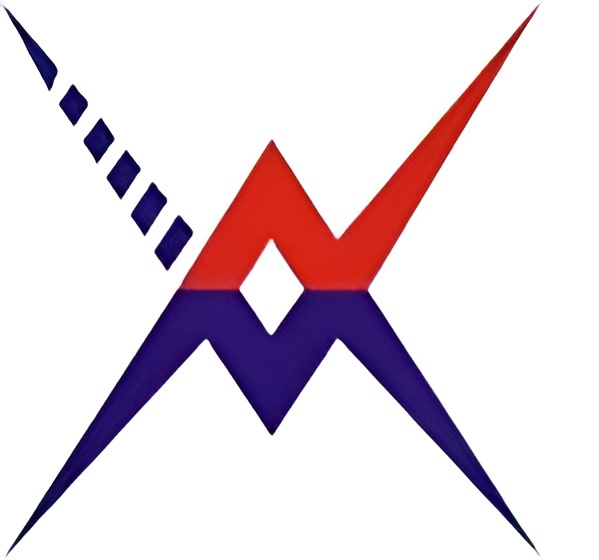 Jinjiang Jiayao Weiyi Technology Co., Ltd. logo