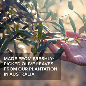 Cápsulas Blandas de Hoja de Olivo Australiana de Marca Privada de Alta Calidad, Mejoran la Salud Cardiovascular, Mejoran el Sistema Inmunitario - Product Image 3