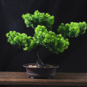 Bonsai di Pino Realistico per Ingresso Soggiorno, Decorazione Mobile TV, Pianta in Vaso Simulata - Product Image 4