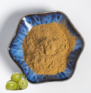 ผงอินเดีย Amla ผงน้ำผลไม้บริสุทธิ์100% จากธรรมชาติ Amla - Product Image 1