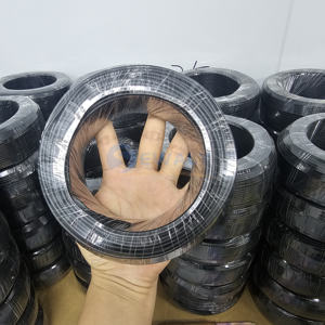 Rollo <span class=keywords><strong>de</strong></span> <span class=keywords><strong>alambre</strong></span> <span class=keywords><strong>de</strong></span> aluminio oxidado para bonsái, <span class=keywords><strong>alambre</strong></span> para entrenamiento <span class=keywords><strong>de</strong></span> bonsái, color negro, 1mm a 8mm, 500g - Product Image 6