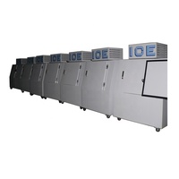 Congélateur vertical extérieur à porte inclinée, à dégivrage automatique, avec ventilateur, pour stockage de glace de station-service et vitrine alimentaire de supermarché