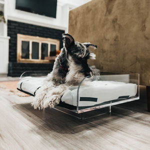 Kunden spezifische Haustier produkte Haustier liefert Acryl-Haustier bett - Product Image 1