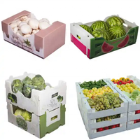 Boîtes d'emballage jetables personnalisables en plastique PP pour légumes, fruits, maïs, asperges, gombo, destinées au transport