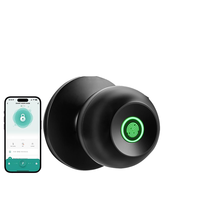 Hoogwaardig slim slot van aluminiumlegering met redelijke prijs voor Tuya app cloud, deurklink cilinder hendel slot deurklink