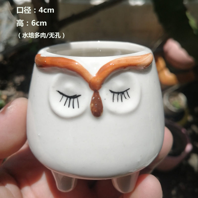 Hc-004-owl without holes