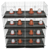 Système de cage automatique galvanisée pour cailles pondeuses, pour une aviculture efficace et une production élevée d'œufs