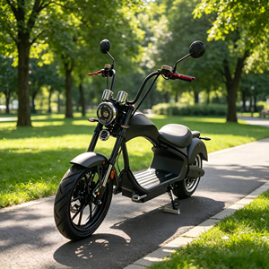 Motocicleta Eléctrica de Alta Capacidad de Carga, Certificada por la CEE y COC, con Carga Máxima de 200 kg, desde el Almacén de California, EE. UU. - Product Image 1