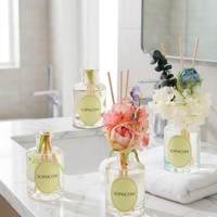 Ensemble diffuseur de parfum personnalisé, parfum longue durée, écologique, sans alcool, senteur fraîche, fleurs séchées décoratives, plantes