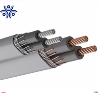 Câble électrique d'entrée de service RNEDA UL853 600V 4/0-4/0-4/0-2/0 AL SER avec gaine en PVC, fabriqué directement en Chine