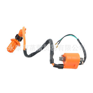 Categoría de Producto: Encendedor de Alto Voltaje para Motocicletas y Vehículos Todoterreno ATV Naranja, Sistemas de Encendido Eléctrico para Motocicletas - Product Image 2