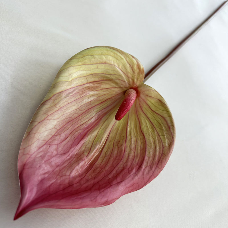 สีแดงสีเขียว