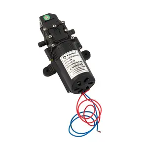 Farmjet Portable 12V Mini DC High Pressure Intelligent Diaphragm Pump For Electric Sprayer misting pump