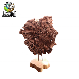 Escultura de madera para decoración del hogar, soporte de madera para muebles de madera Natural, estilo erótico de Java Central Indonesio, el mejor - Product Image 5