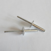 Vente en gros de rivets étanches personnalisés rivet aveugle anodisé rivet à tête dôme en acier aluminium